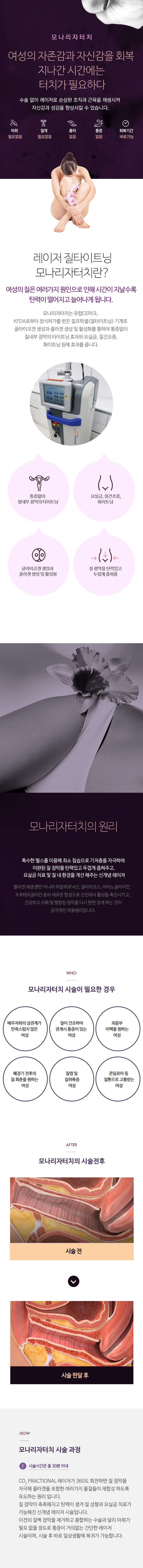모나리자터치